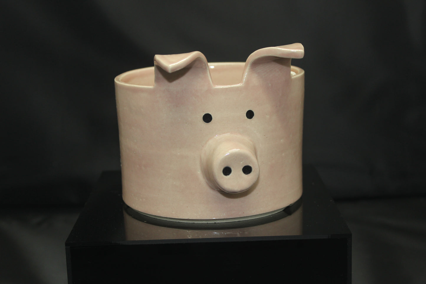 Animal Planter, Pig - Small
