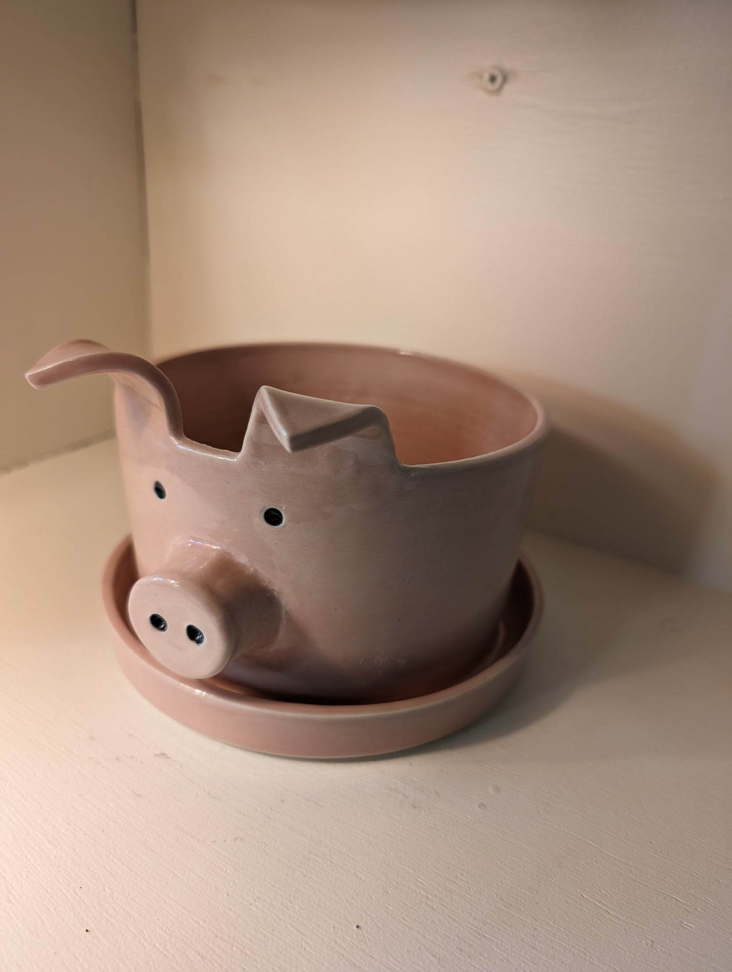 Animal Planter, Pig w/drip tray - Small