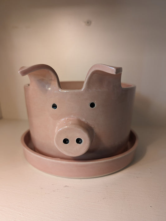 Animal Planter, Pig w/drip tray - Small